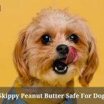 Is Skippy Peanut Butter Safe For Dogs?