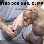 Lighted Dog Nail Clippers