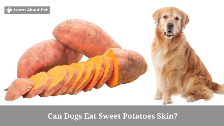 Can dogs eat sweet potato skin Clearance