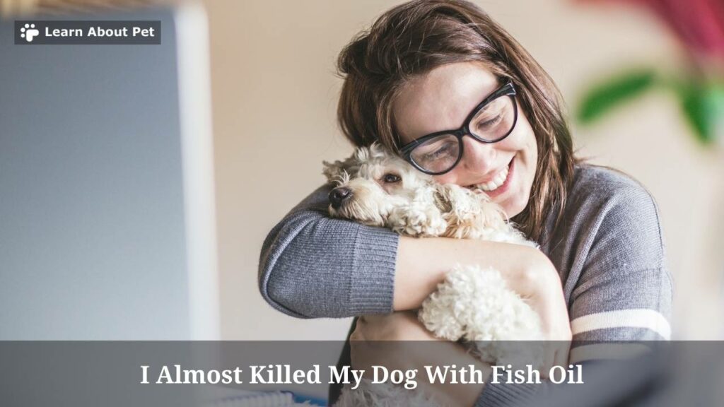 i-almost-killed-my-dog-with-fish-oil-2023