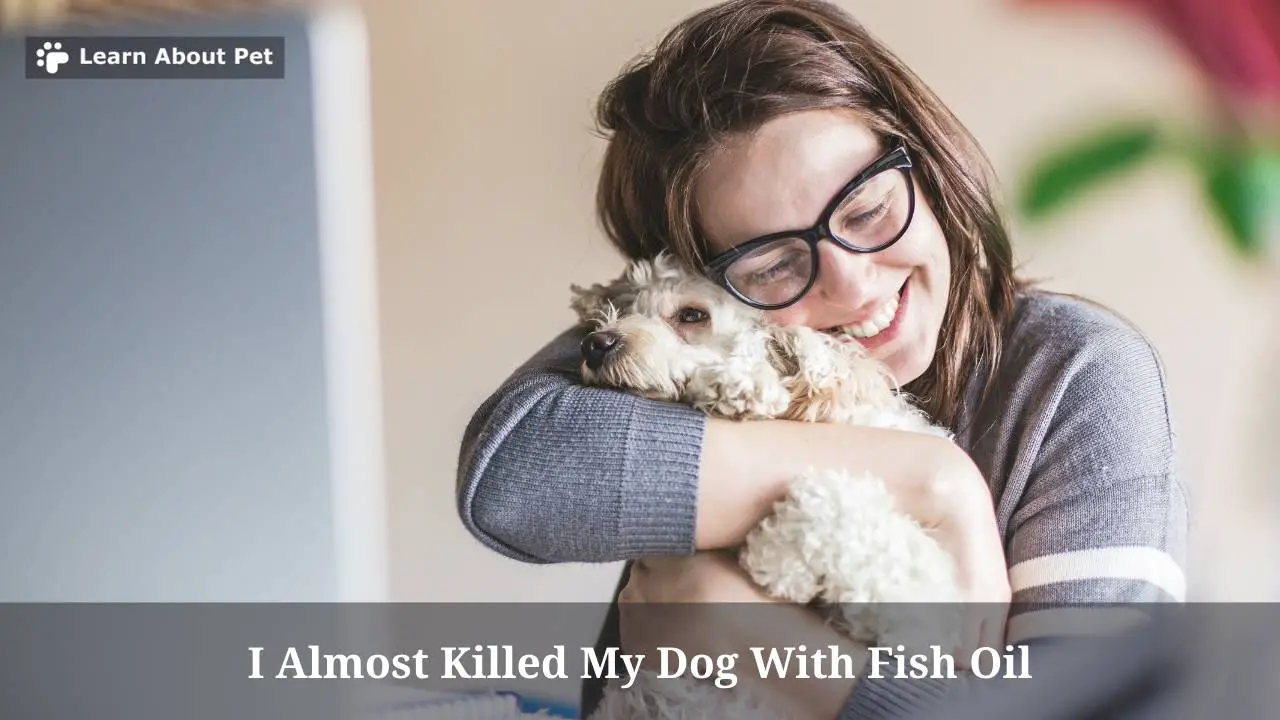 I Almost Killed My Dog With Fish Oil 2024
