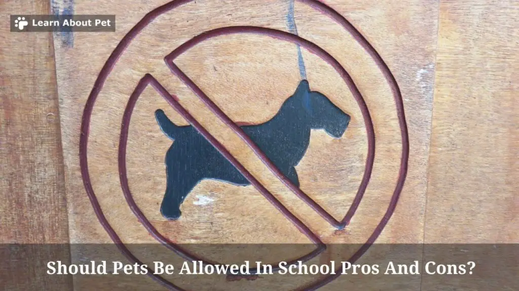 Should Pets Be Allowed In School Pros