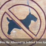 Should Pets Be Allowed In School Pros And Cons? 7 Key Facts