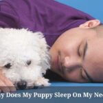 Why Does My Puppy Sleep On My Neck? (9 Cool Facts)