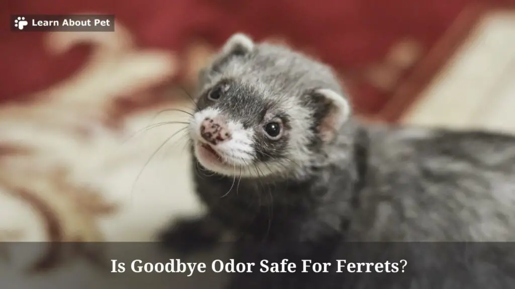 Is goodbye odor safe for ferrets