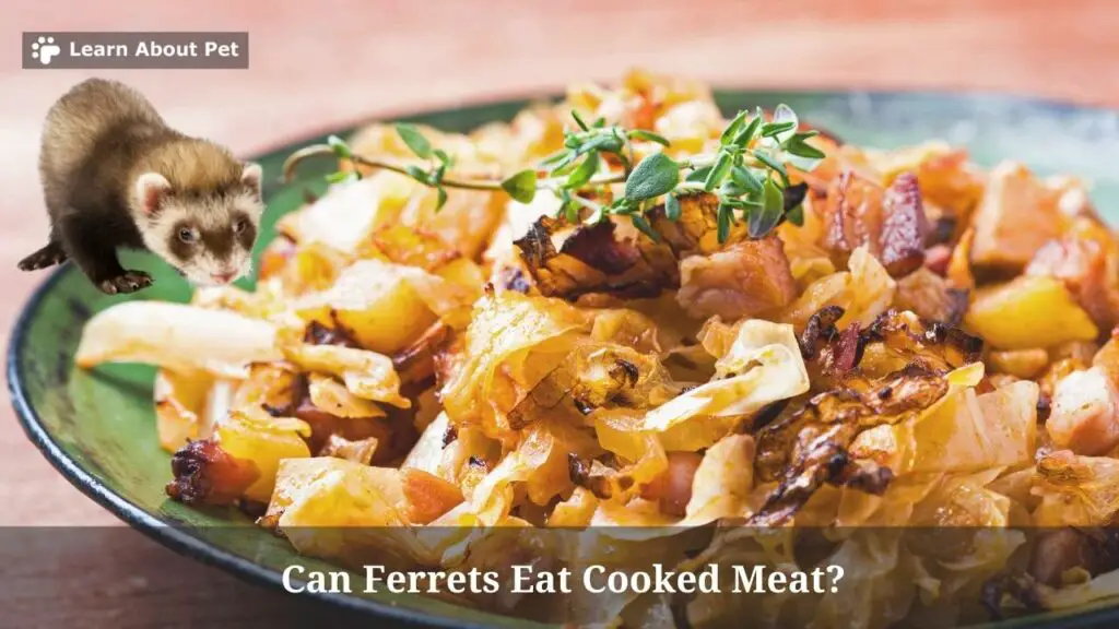 Can Ferrets Eat Cooked Meat? (7 Interesting Facts) 2022