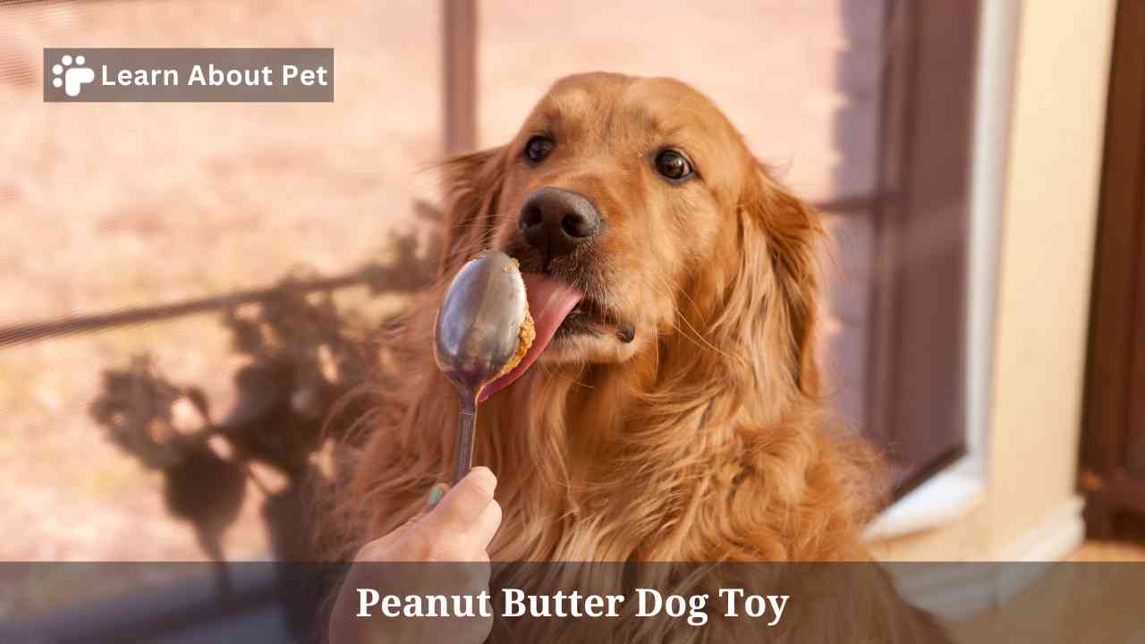 Peanut Butter Dog Toy 7 Fascinating Facts 2023
